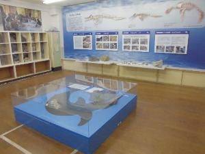 展示室
