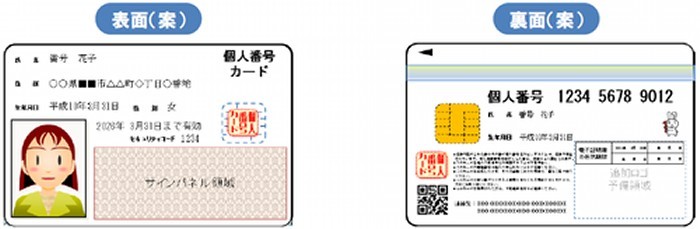 個人番号カードのイメージ 左:表面(案)、右:裏面(案)