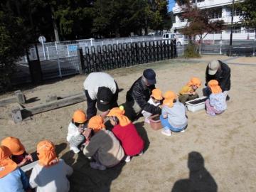 子どもたちが老人クラブさんと苗植えをしている様子の写真