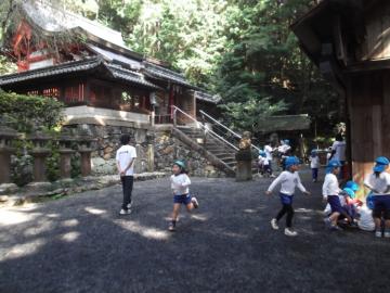 園児が大宮神社で遊んでいる写真