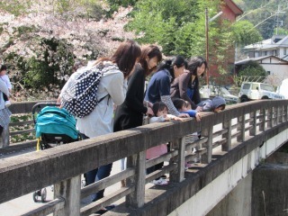 橋の上にいる親子が、橋の下をのぞいて見ている写真