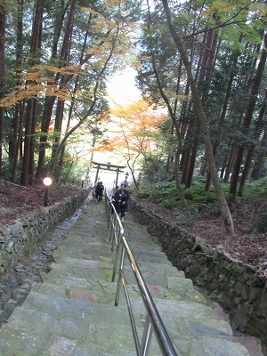 神社の上から見下ろした風景の写真