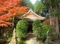 右に色鮮やかに色づいた紅葉、周囲に樹木が並ぶお堂を正面から写した写真