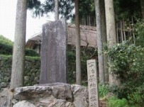木の近くにある石碑を写した写真