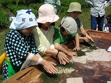 帽子やタオルを頭に巻き、お茶の手もみを体験する子どもたちの写真