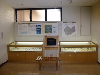 ガラスケースに実物標本が展示され、正面には映像による解説が見られるモニターが置かれ、ガラスケースの上には説明が書かれたボートが展示されている化石資料コーナーの写真