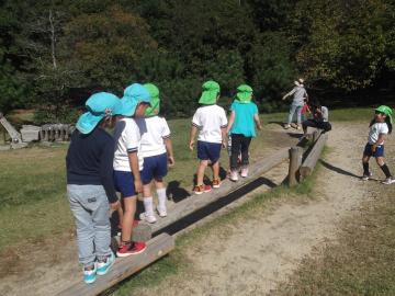 子どもたちが丸太の平均台で遊んでいる様子の写真