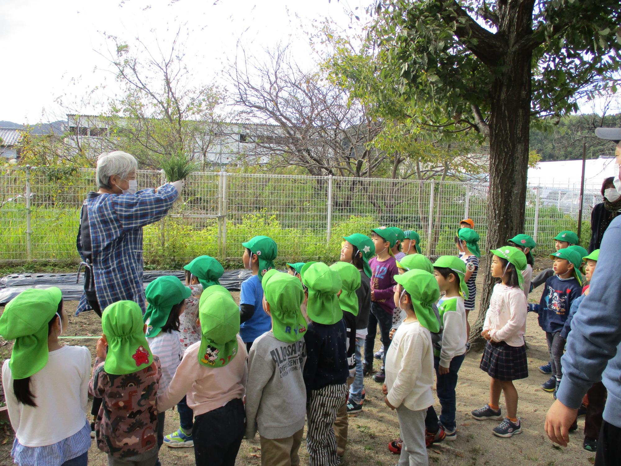 植え方の説明を聞いている子ども達の写真