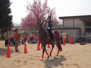 女性警察官と一緒に男の子が馬に乗って、園庭を歩いている写真