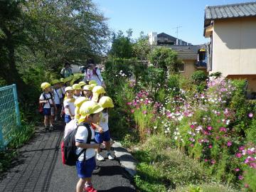 黄色い帽子を被った子供たちが道端の花を見ている写真