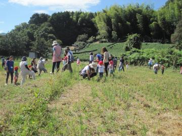 草むらで親子たちが散歩をしている写真