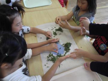 子どもたちがお茶の葉を揉んでいる写真