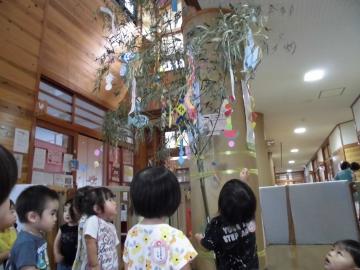 1歳児らが笹飾りを眺める様子の写真