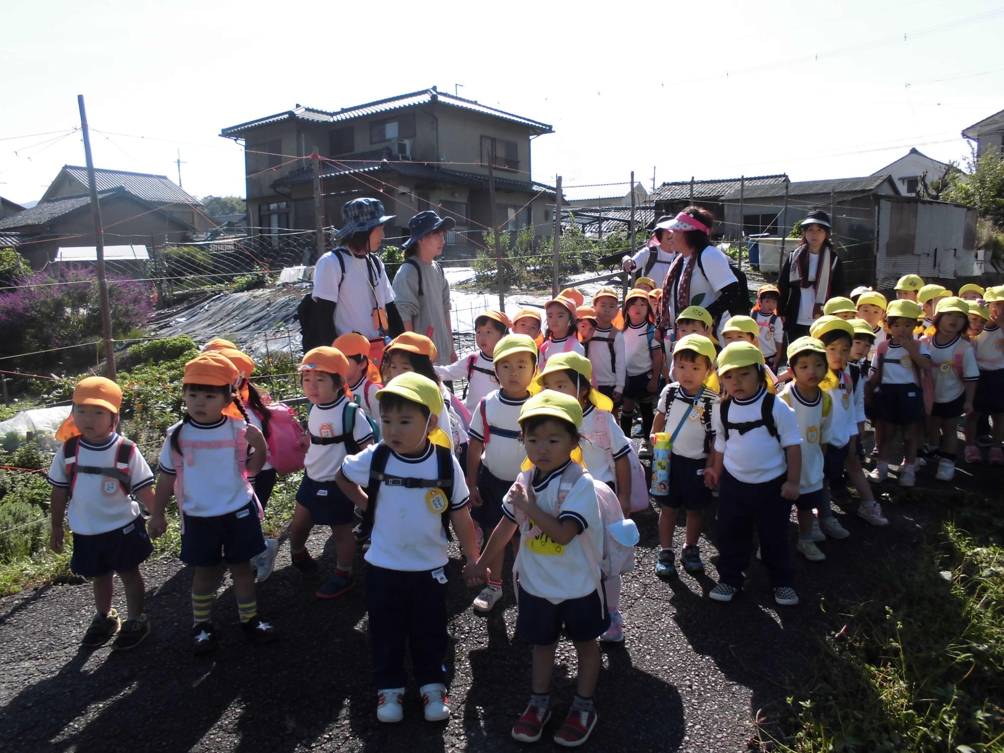 年少組が郷之口方面へ散策で田んぼ道や細い路地を歩いている写真