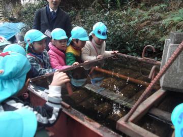 水槽に浸されたたくさんの原木をのぞく子どもたちの写真