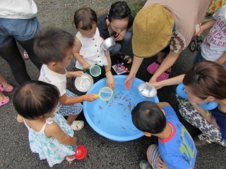 手にポイを持った子供たちが青い大きな洗面器の中の金魚をすくおうとしている写真