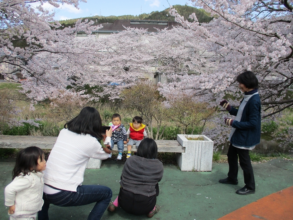 満開に咲く桜の下に座る子どもたちの写真を撮っている写真