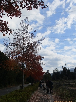 青空の下、緑苑坂の公園まで散歩している様子の写真