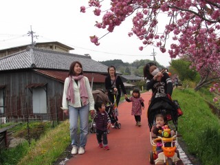 桜が咲いている堤防を歩いている親子の写真
